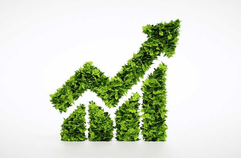 Sustainable Marketing: A Growing Trend and How Your Brand Can Embrace It